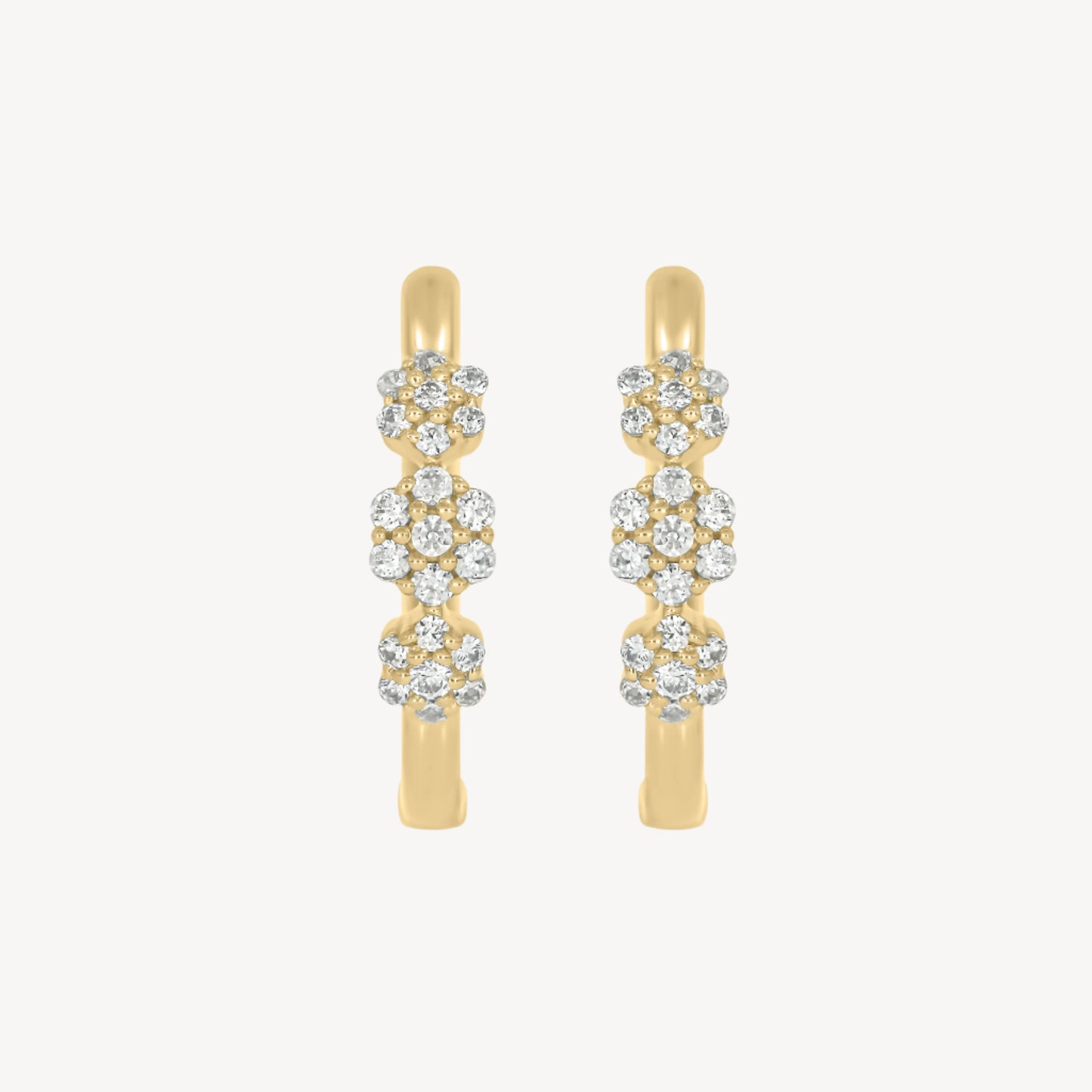 Avigail Hoops