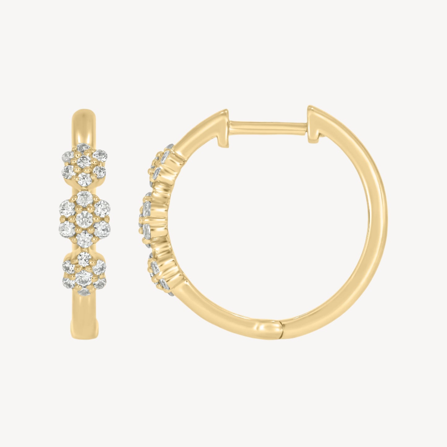 Avigail Hoops