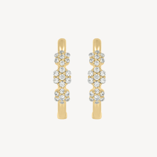 Avigail Hoops