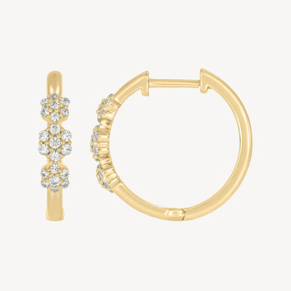Avigail Hoops
