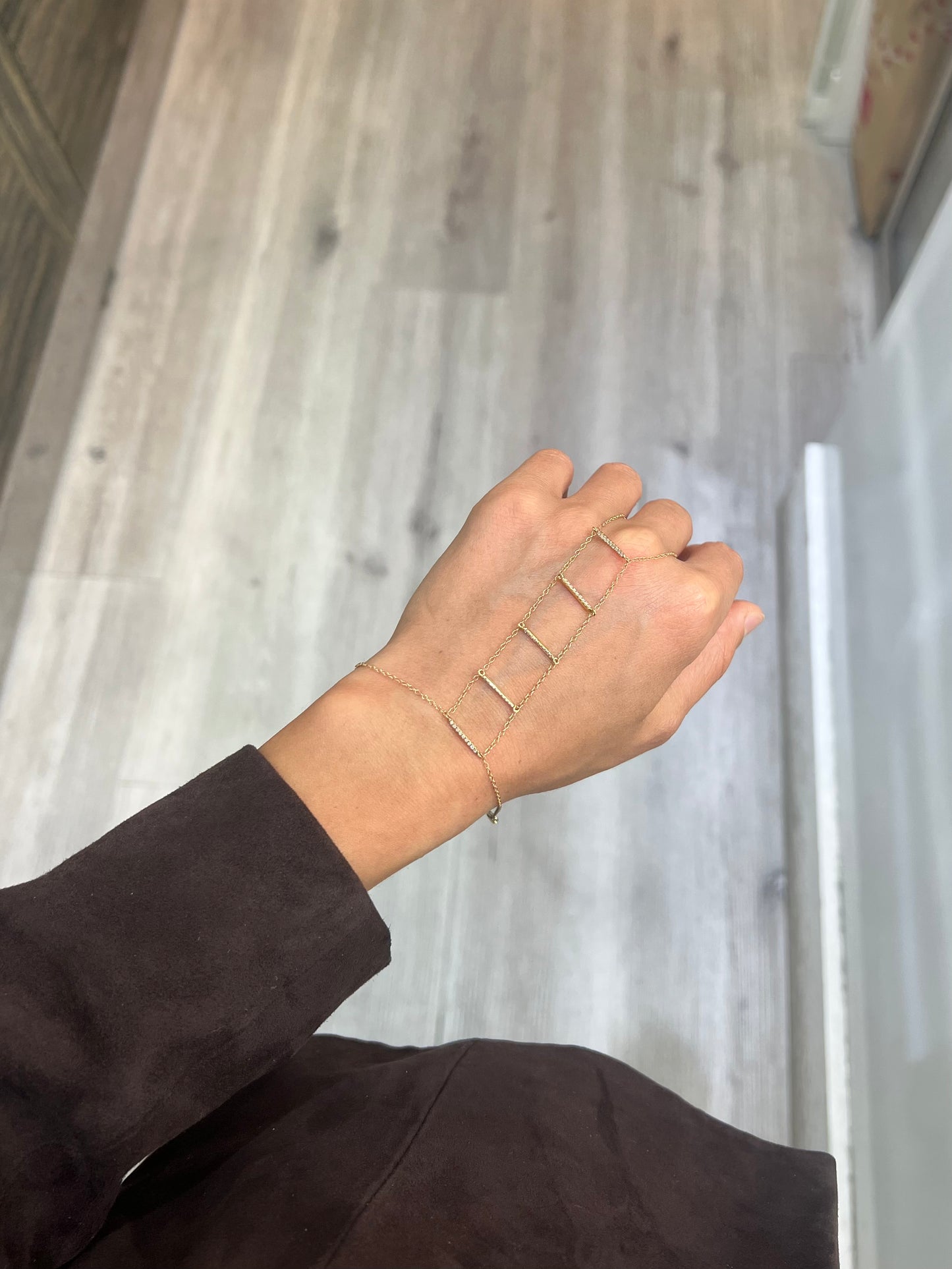 Ladder Handchain
