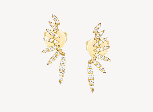 Blaze Ear Climbers
