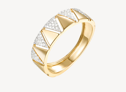 Nel Ring
